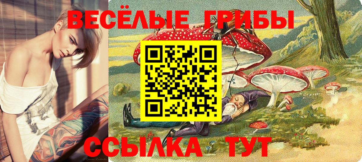Псилоцибиновые грибы Cubensis Родники