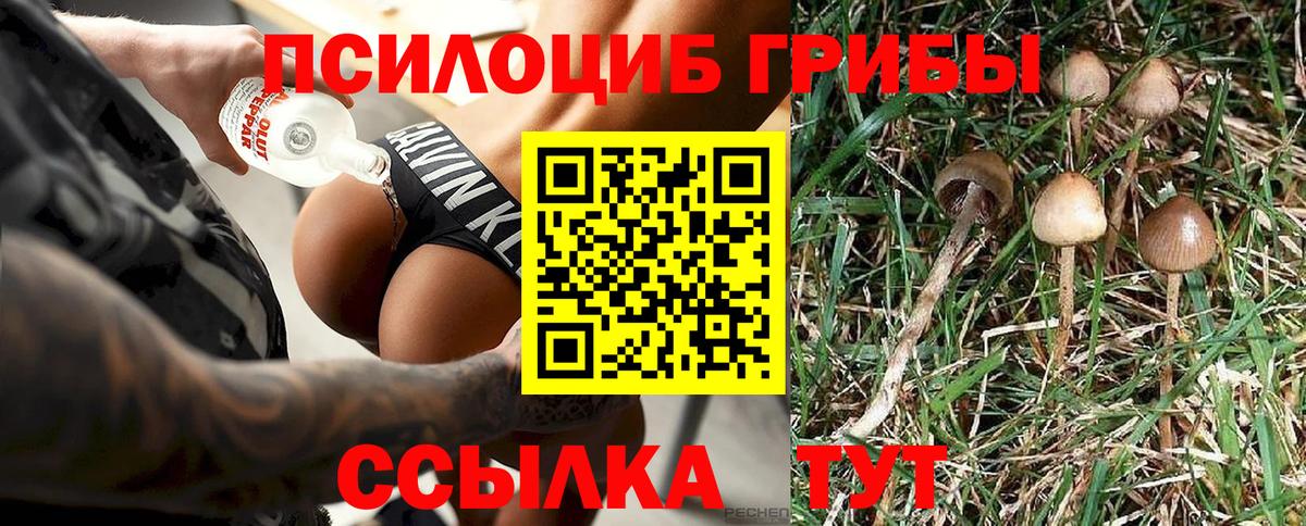 Псилоцибиновые грибы Cubensis  Вход с VPN  Родники  Псилоцибиновые грибы MAGIC MUSHROOMS 