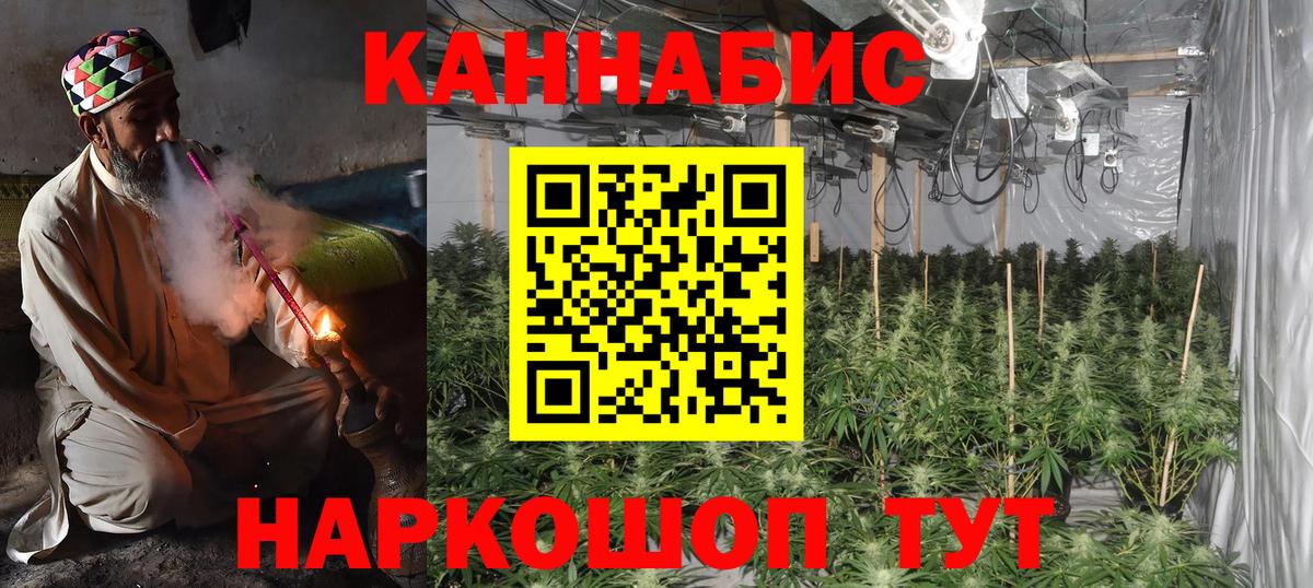 Бошки Шишки сатива  МАРИХУАНА гибрид  Родники  Вход с VPN 